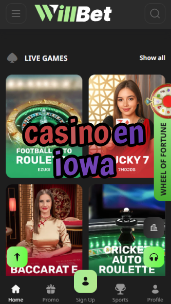 Casino En Iowa - Top Iowa Gambling Locations-www.bdqngd.com